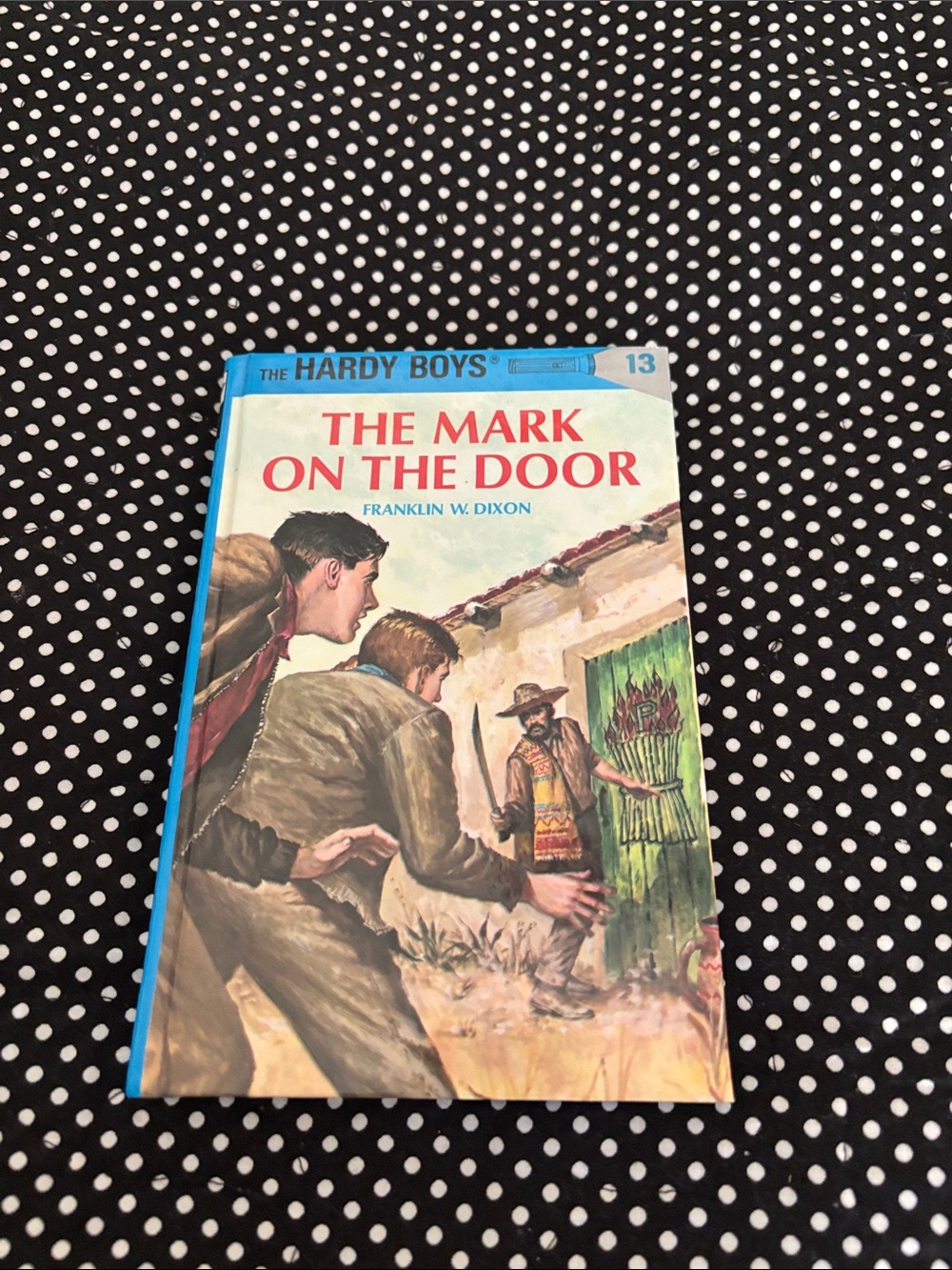 The Mark on the Door — Blue Hardcover Edition